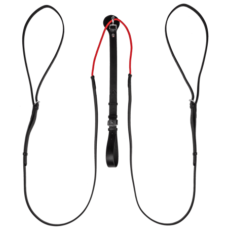 Driehoeksteugels W-train Waldhausen