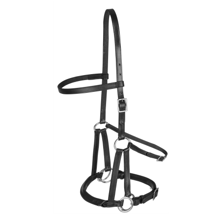 Bitloos hoofdstel Linda Tellington-Jones