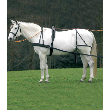 Eenvoudig Star Economic tuig van cob tot groot paard