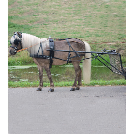 Eenvoudig Star tuig Economic pony shetland