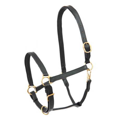 Lederen halster Star Robust