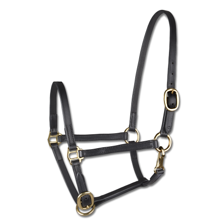 Presentatiehalster van leer Star veulen