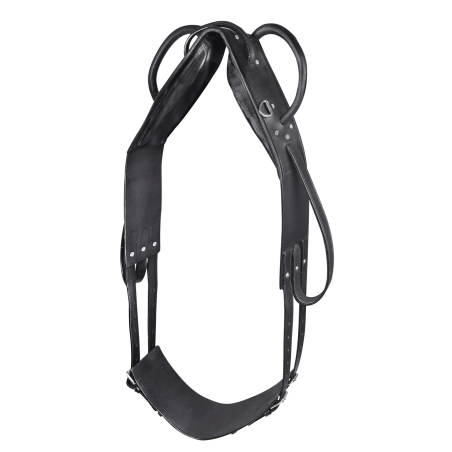 Voltige- en longeersingel Star