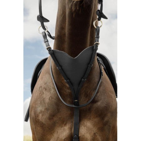 Volledige Martingaal van Zacht Leder Dy'on New English Collection