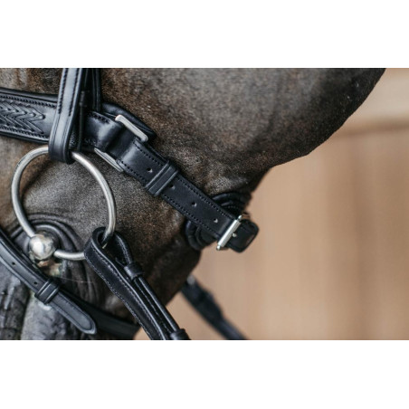 Gevlochten gecombineerde neusriem met Pull pack Dy'on New English Collection