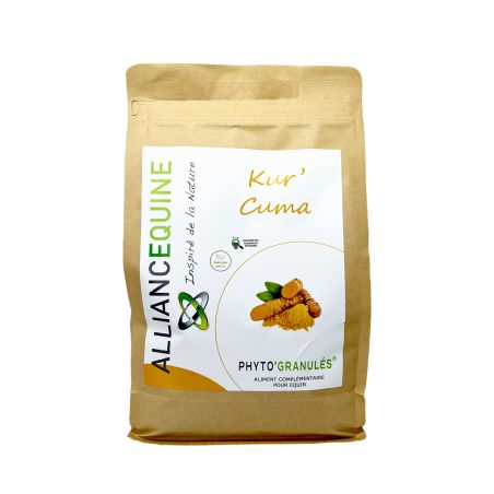 Kur'Cuma Paardenalliantie