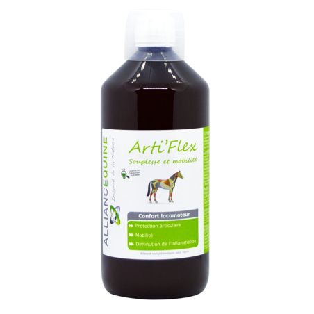 Arti'Flex Alliantie Paard