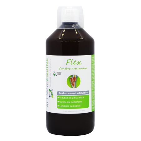 Flex Alliance Equine