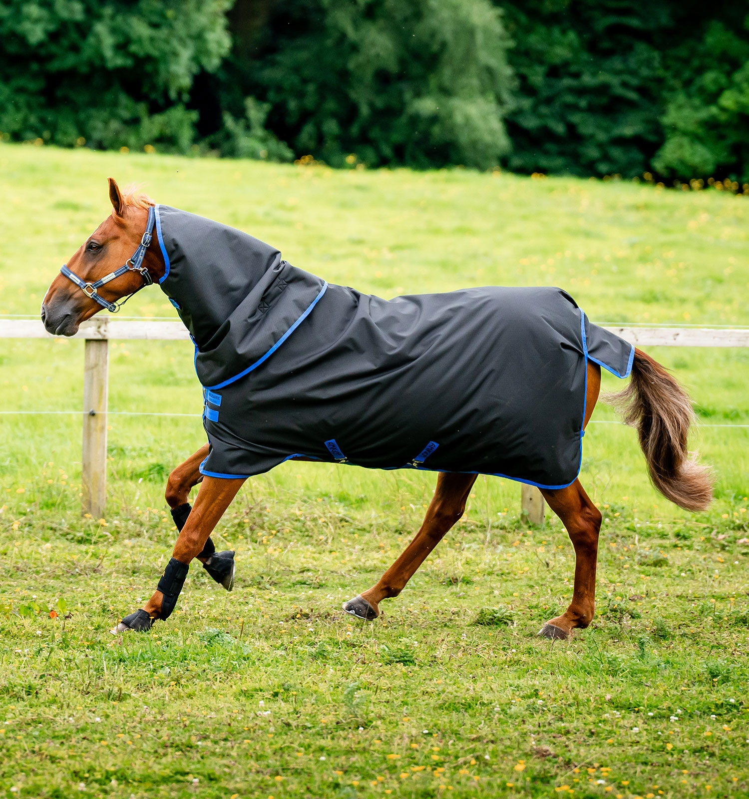 Amigo Ripstop Horseware 900D Plus Turnout 200g deken Zwart / klassiek blauw