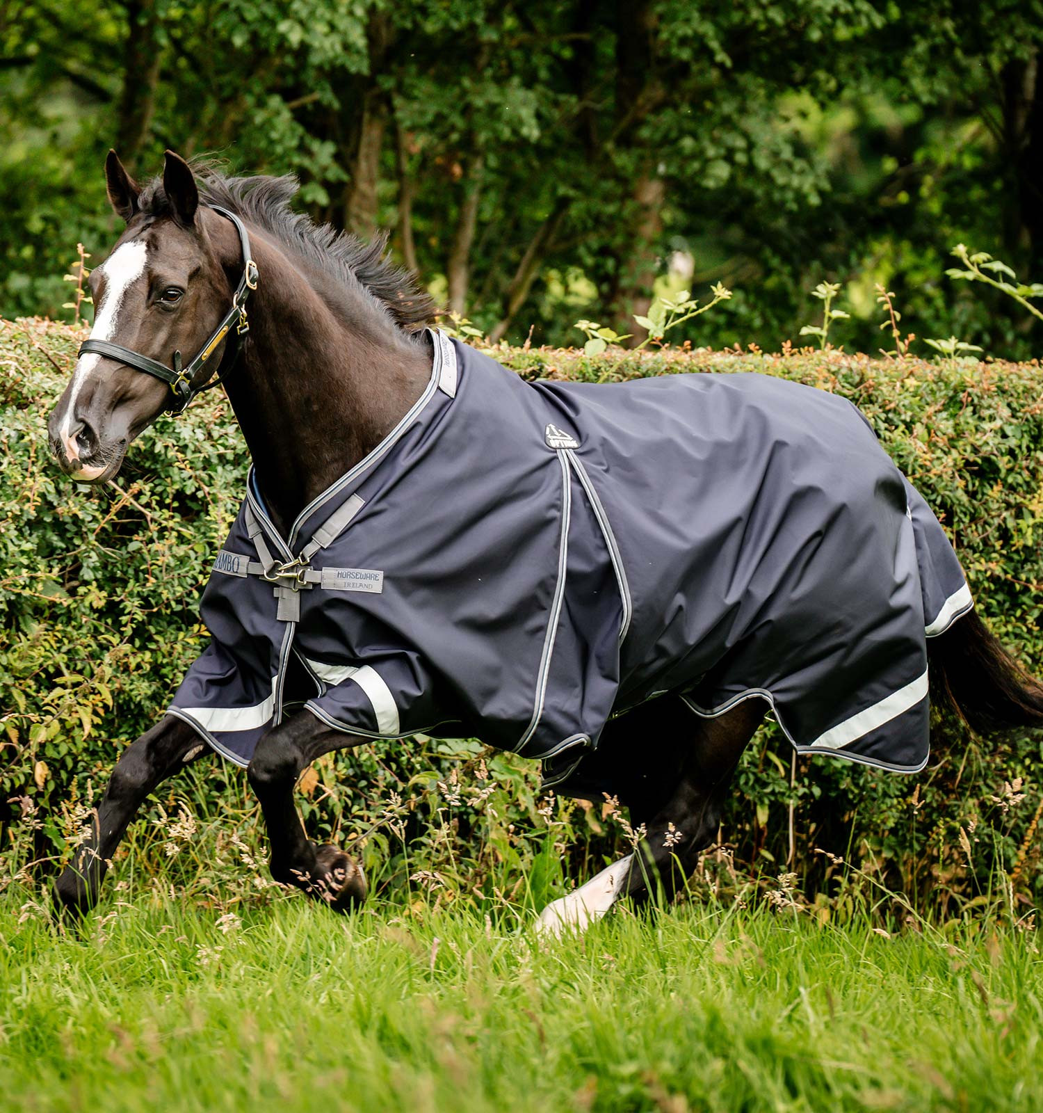 Coperta Horseware Rambo® Optimo Turnout 0g 1000D Marineblauw Coperta Horseware Rambo® Optimo Turnout 0g 1000D Marineblauw