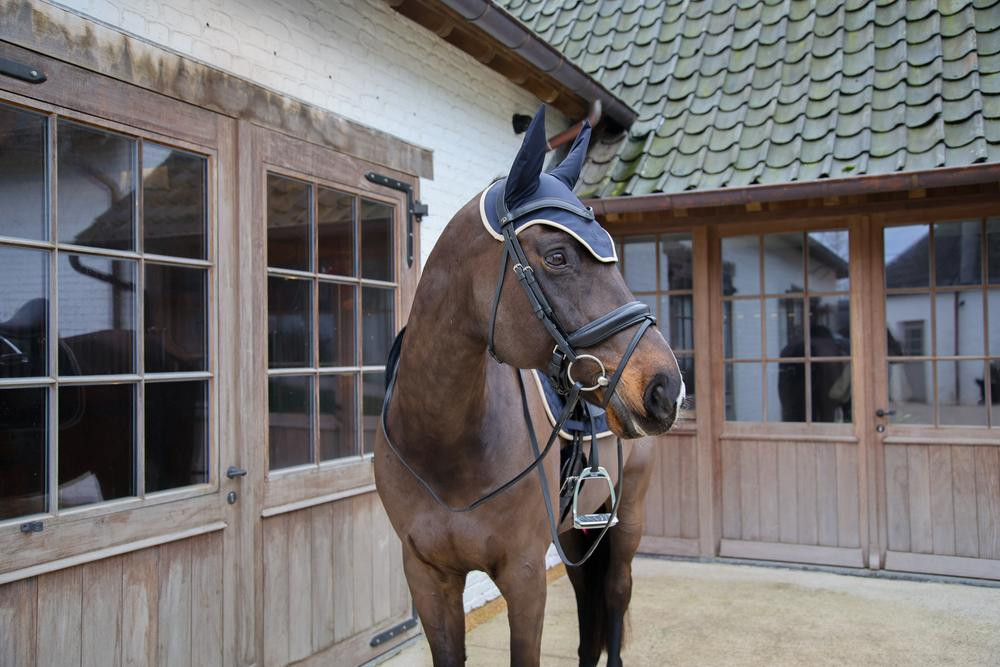 Vliegennetje Wellington Kentucky Softshell Marine Marineblauw