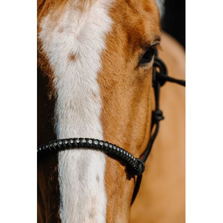 Nylon ethologisch halster Norton Diams