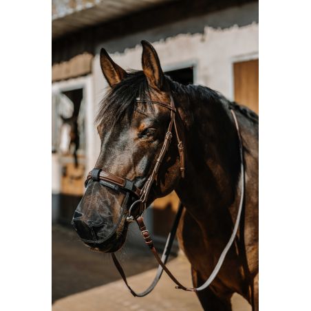 UV-bescherming neus Equithème