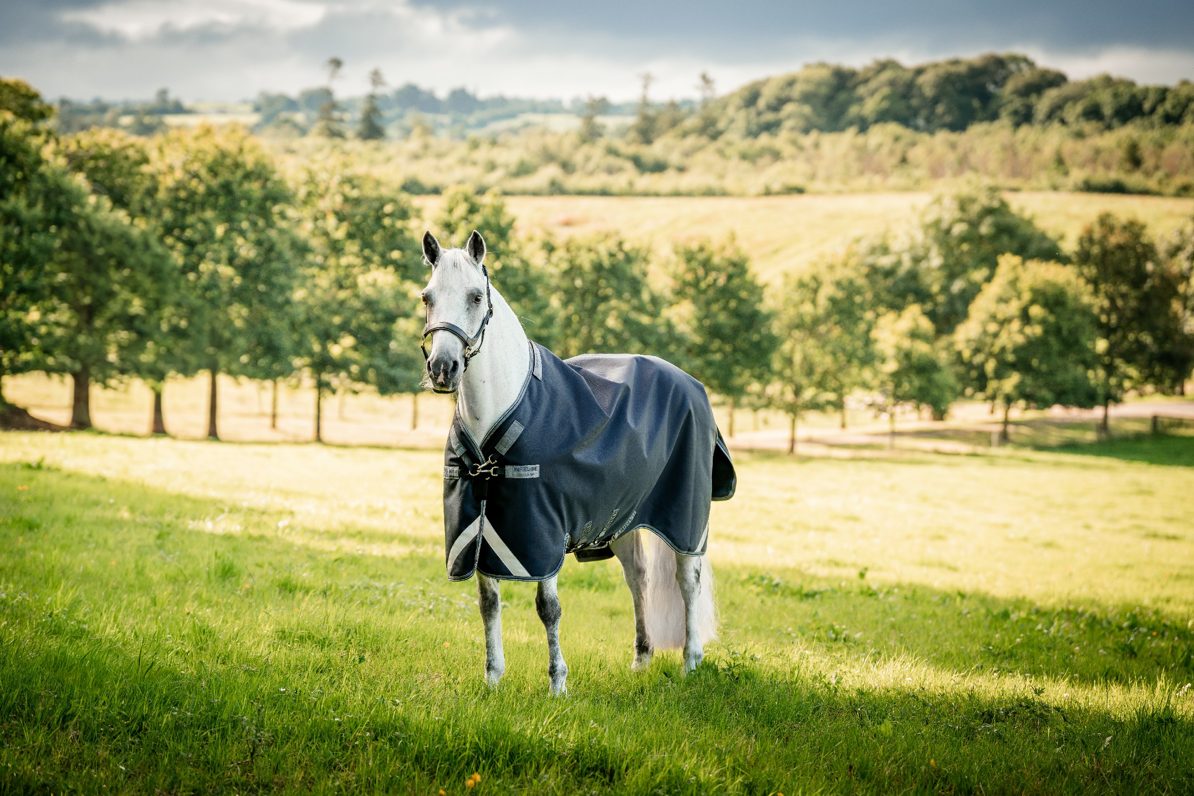 Horseware Rambo 1680D Turnout 100g deken Marine / onweer / zilvergrijs Marineblauw
