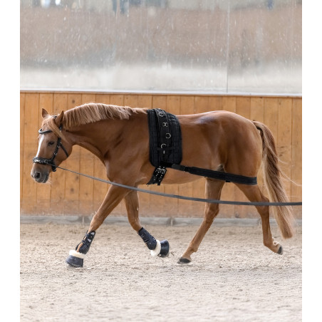 Waldhausen achterhands lichaamsbandage