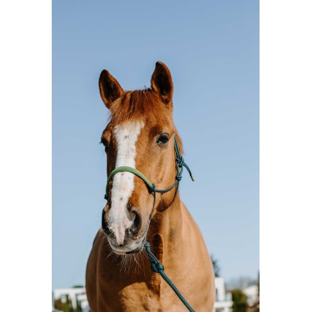 Etologische hoofdstel + touw Norton Zweden