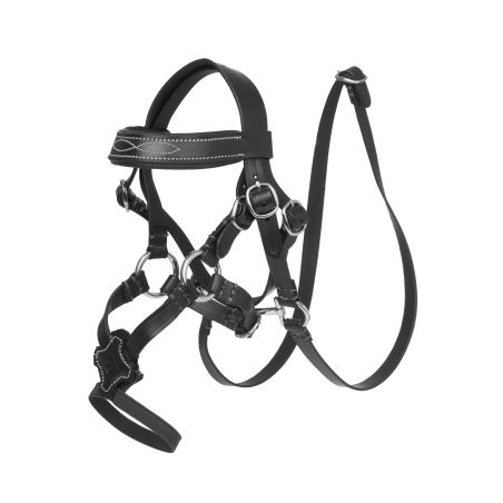 LeMieux Toy Pony hoofdstel met Mexicaanse neusriem