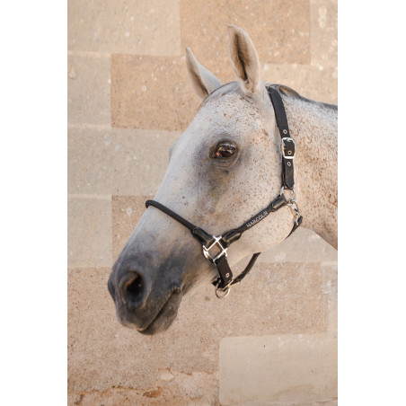 Halster Harcour Honey