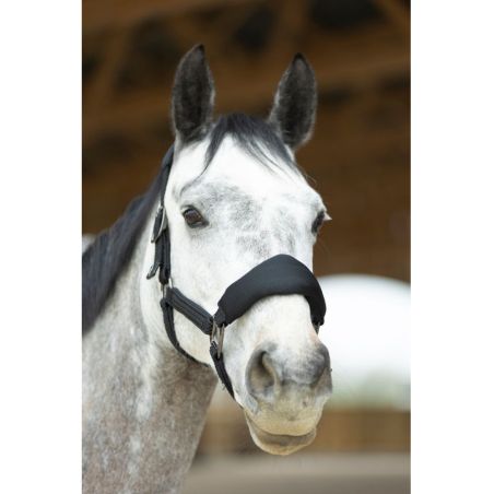 Set Ergonomische halster in mesh en ProConfort Dorai halstouw