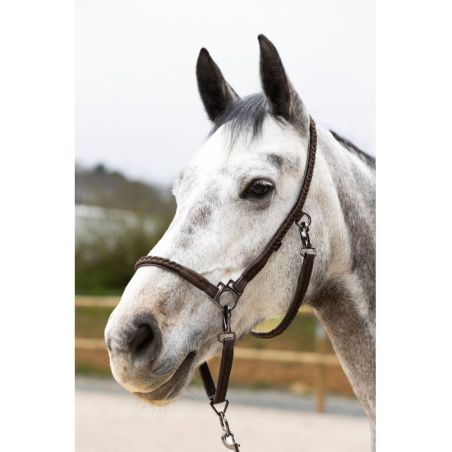 ProConfort Dialou verzorgingshalster