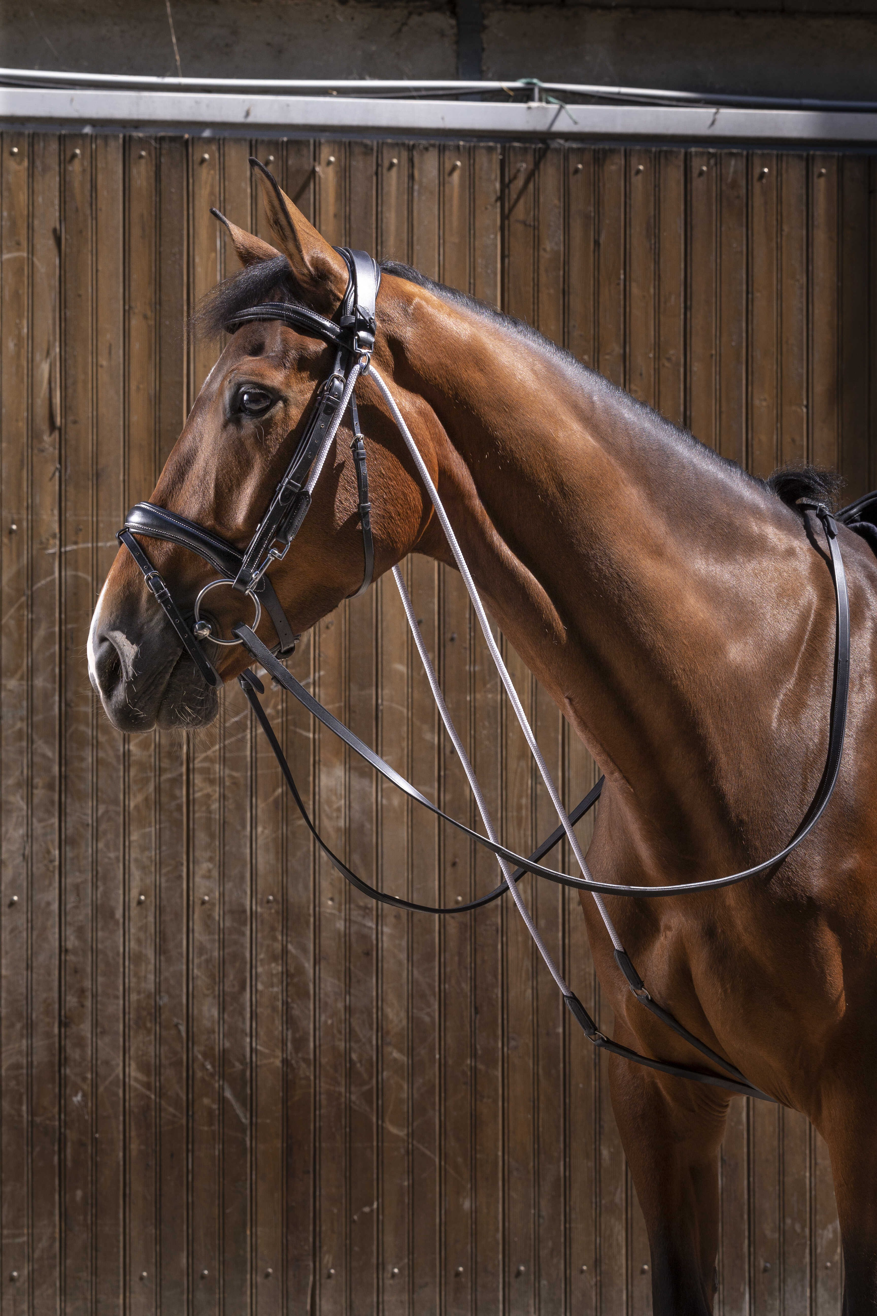 Chambon Eric Thomas Pro Zwart