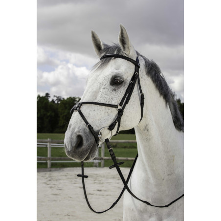 Bridon Riding World Kruisneusriem