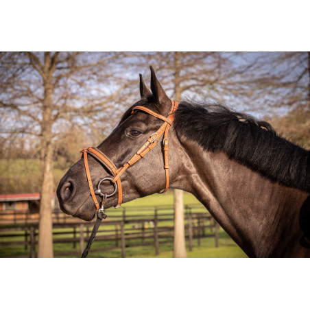 Bridon Pénélope Elegantie