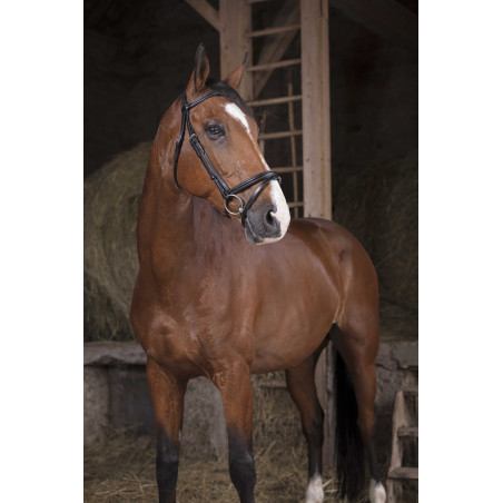 Bridon Norton Pro Fin