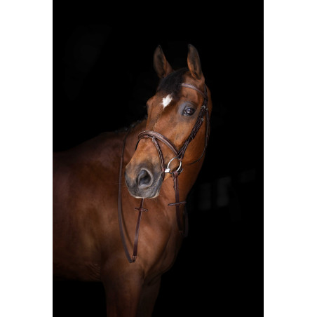 Teugels Hunter Eric Thomas Elite 16 mm