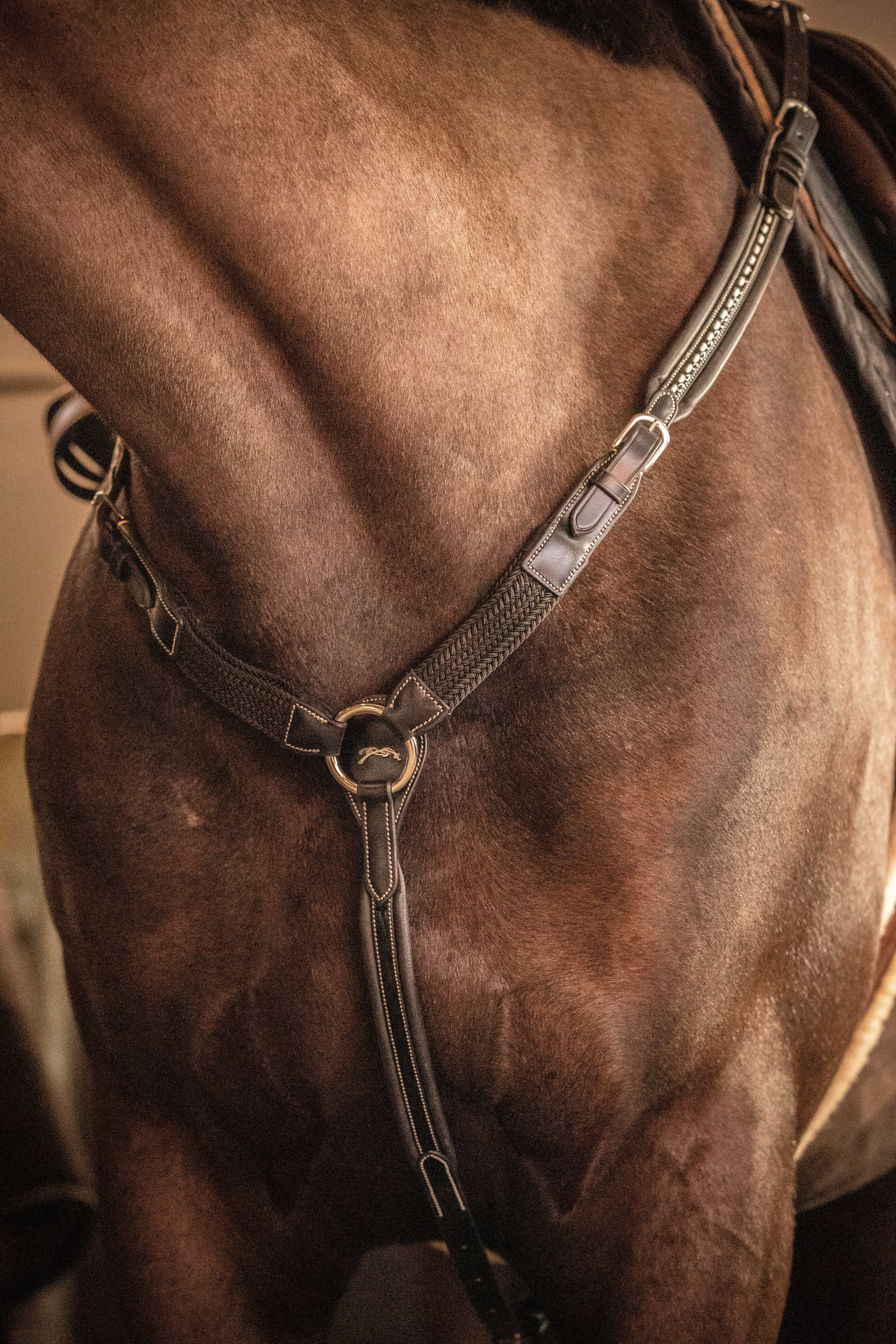 Martin collier Pénélope Havana Bruin