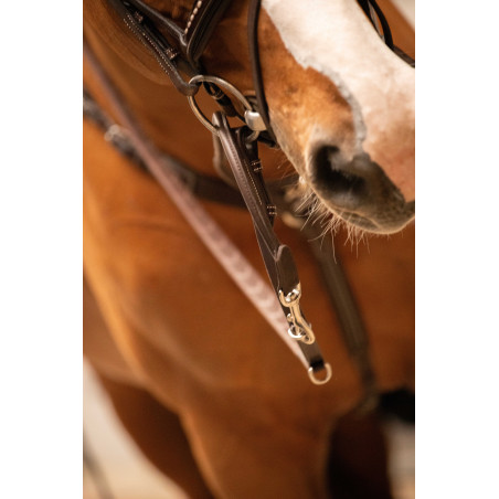 Pénélope Howlett hulpteugel