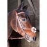 Bridon Sisley Tde T met kruisneusriem T de T - Tabak