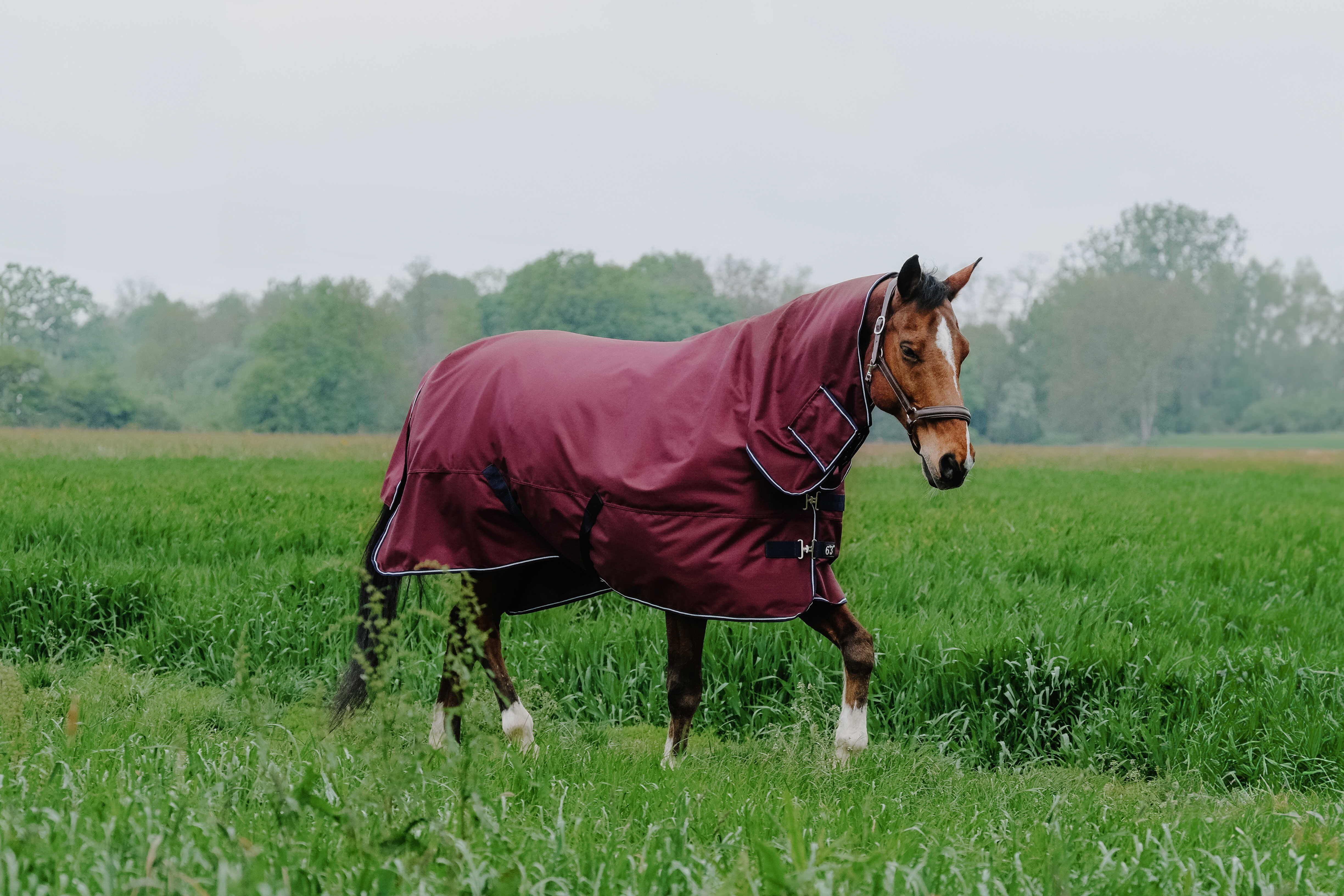 Equithème TYREX 1200D Combo deken Bordeaux Equithème TYREX 1200D Combo deken Bordeaux