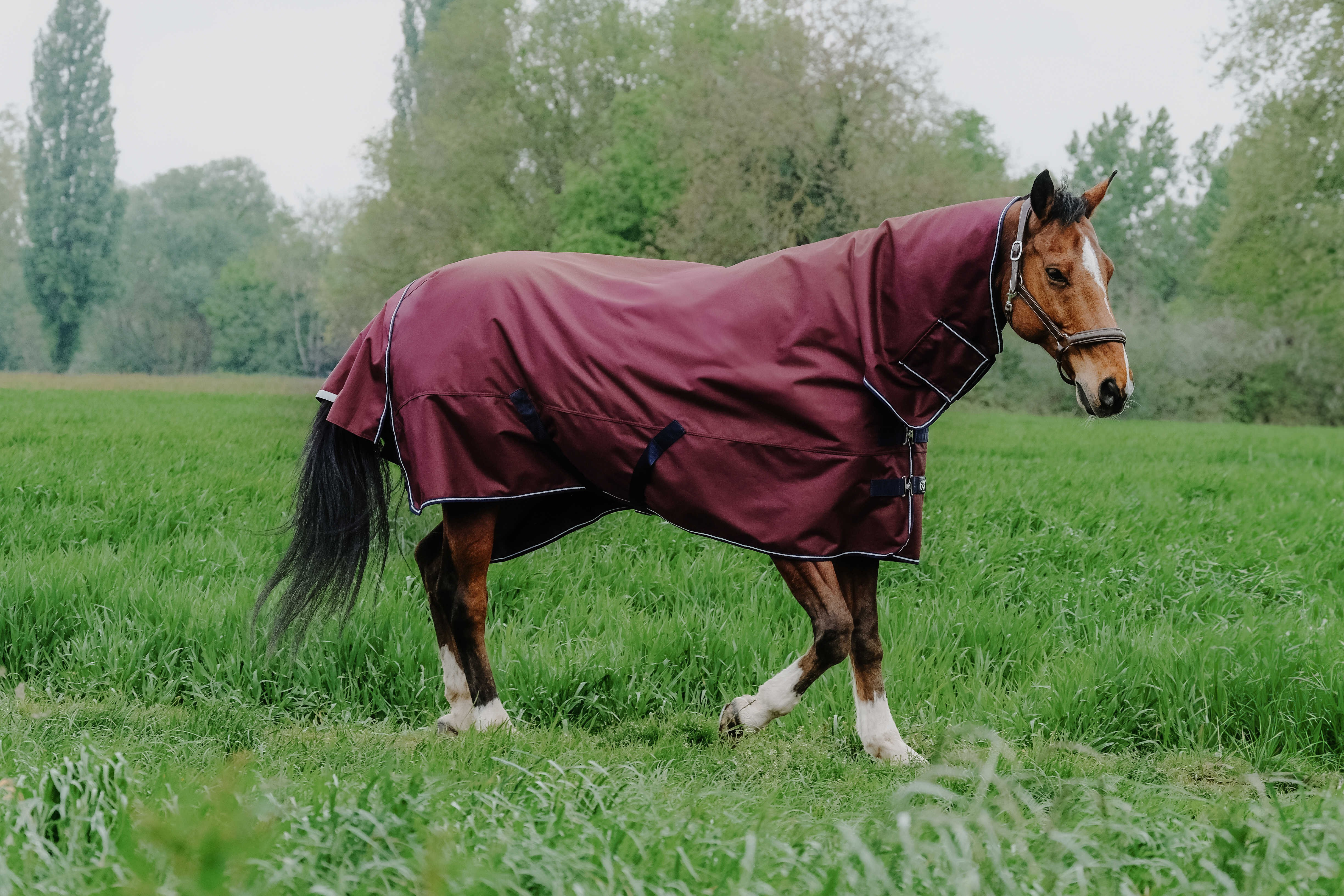 Equithème TYREX 1200D Combo deken Bordeaux Equithème TYREX 1200D Combo deken Bordeaux