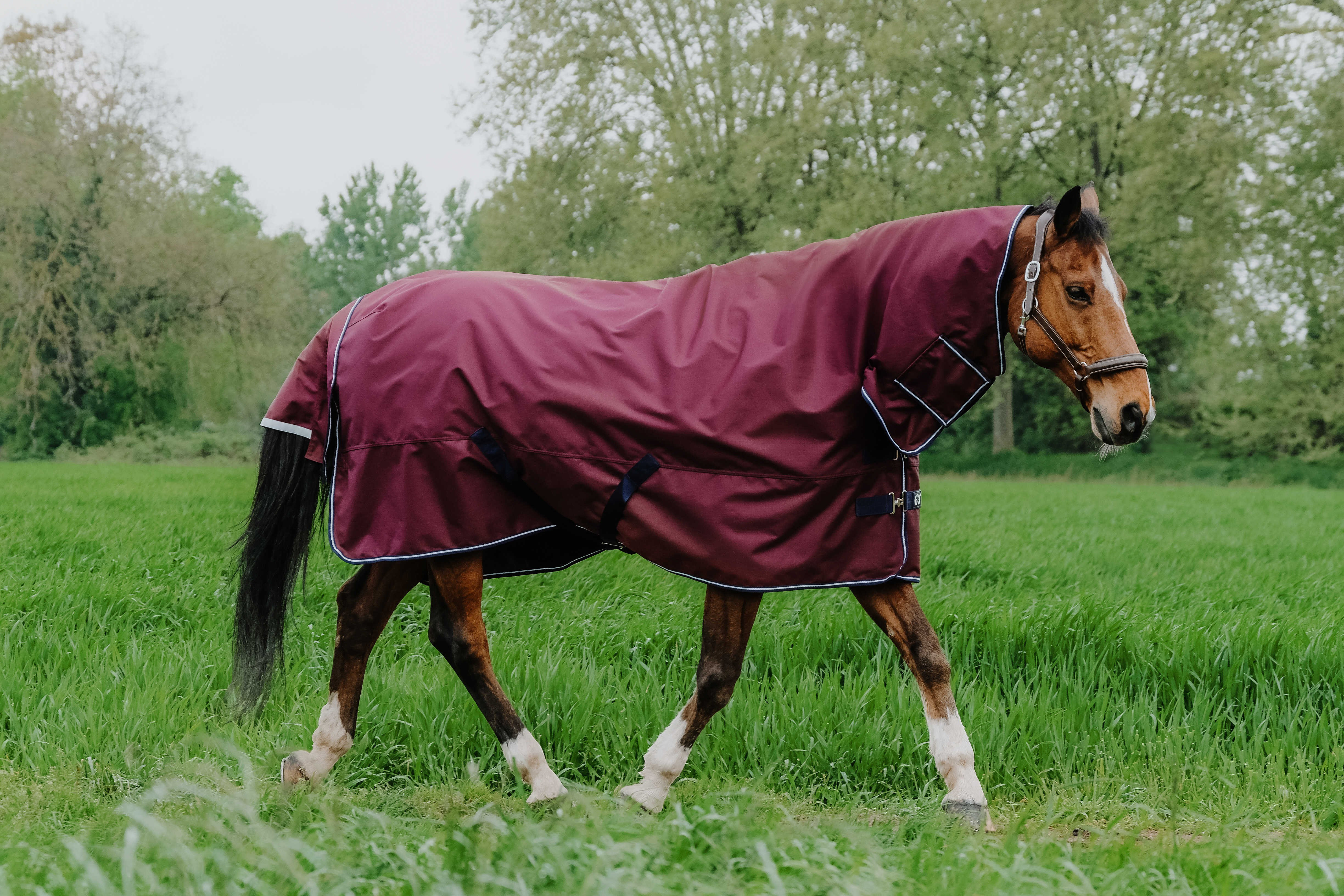 Equithème TYREX 1200D Combo deken Bordeaux Equithème TYREX 1200D Combo deken Bordeaux