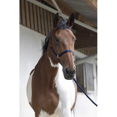 Halster- en leidlijnset Club