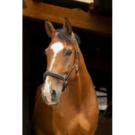 Anatomisch halster Norton Pro