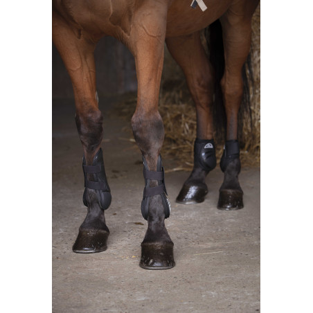 Kogelbeschermers Norton XTR