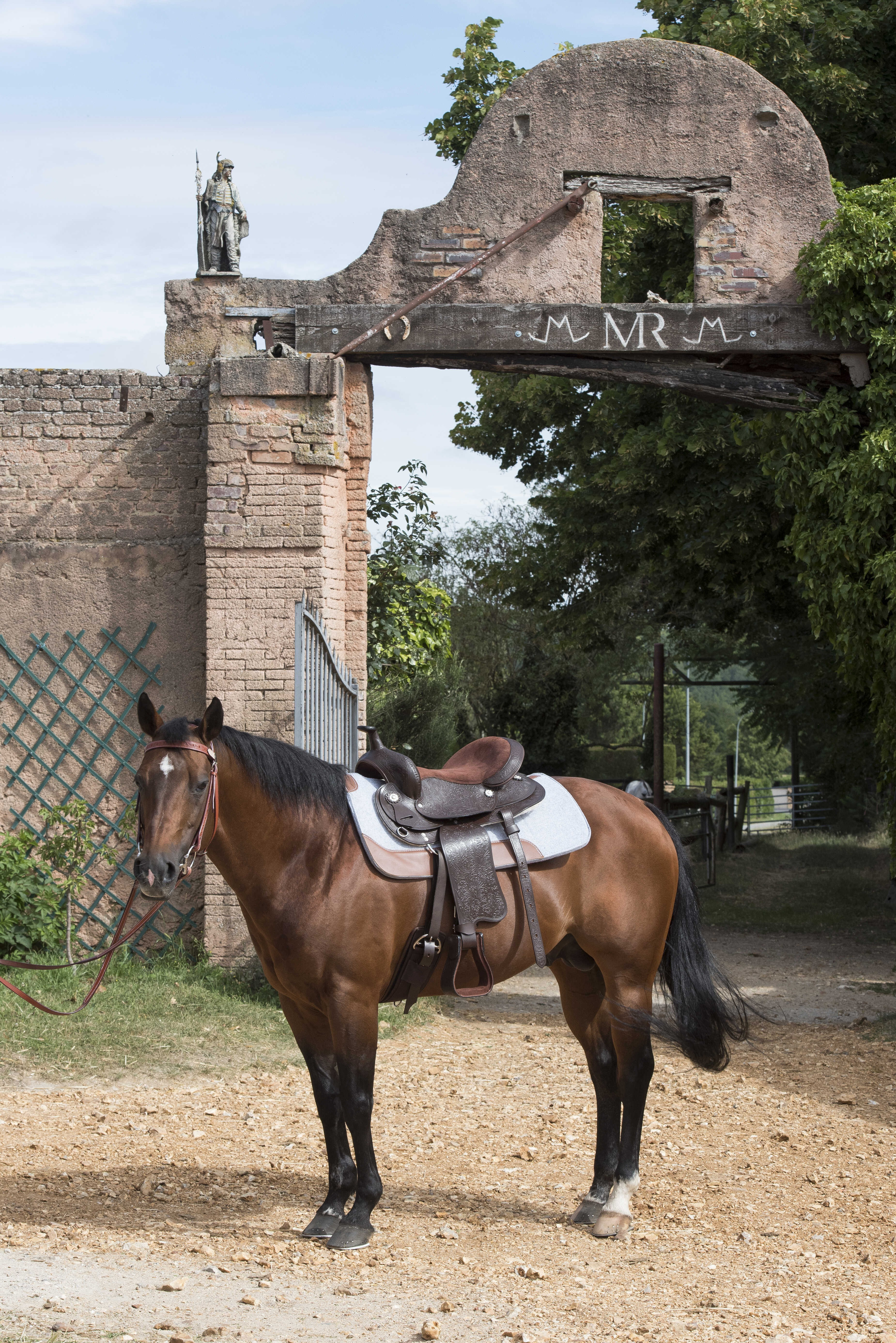 Westernzadel Westride Topeka