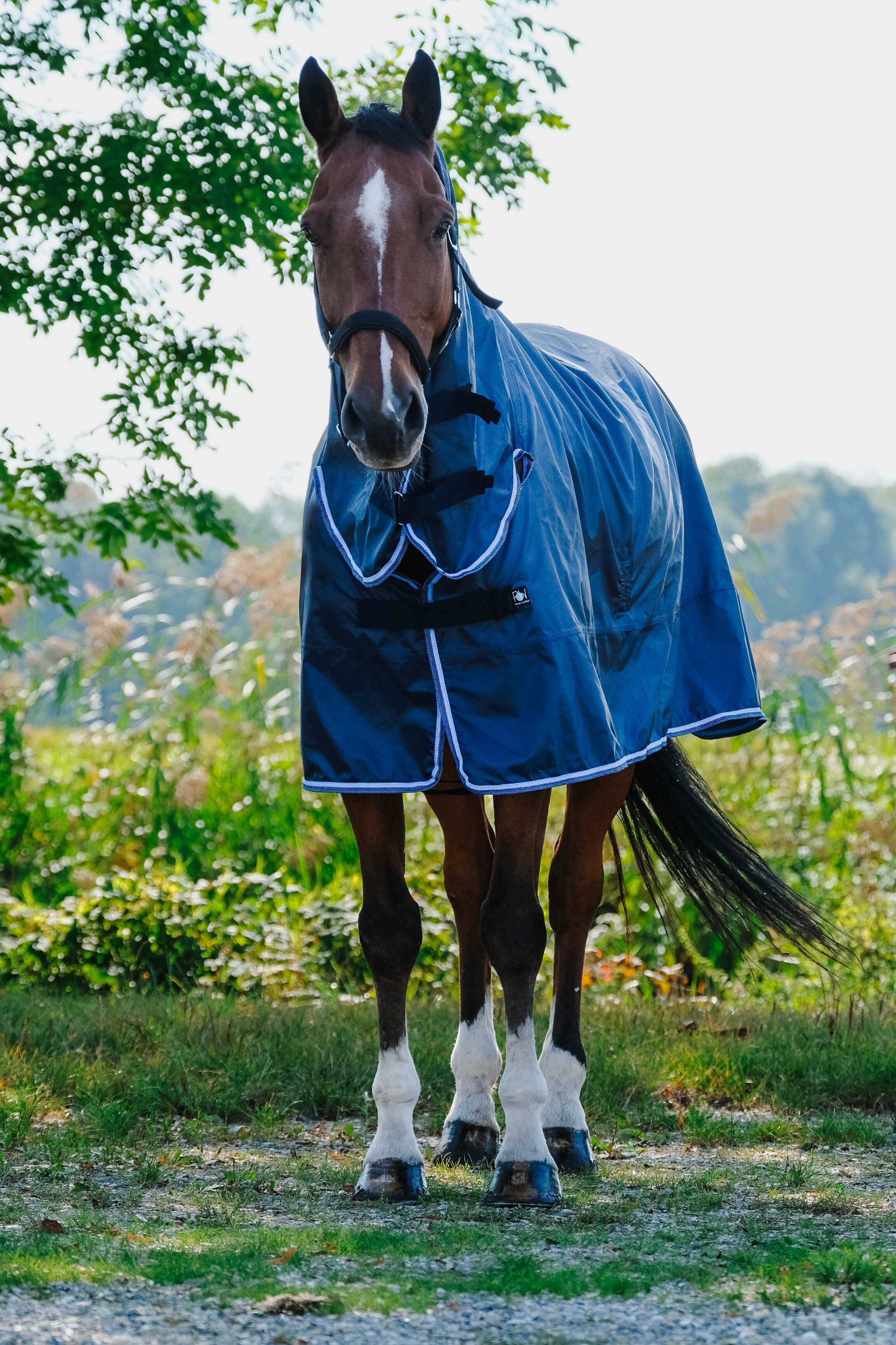 Regenjas combo Riding World Marineblauw