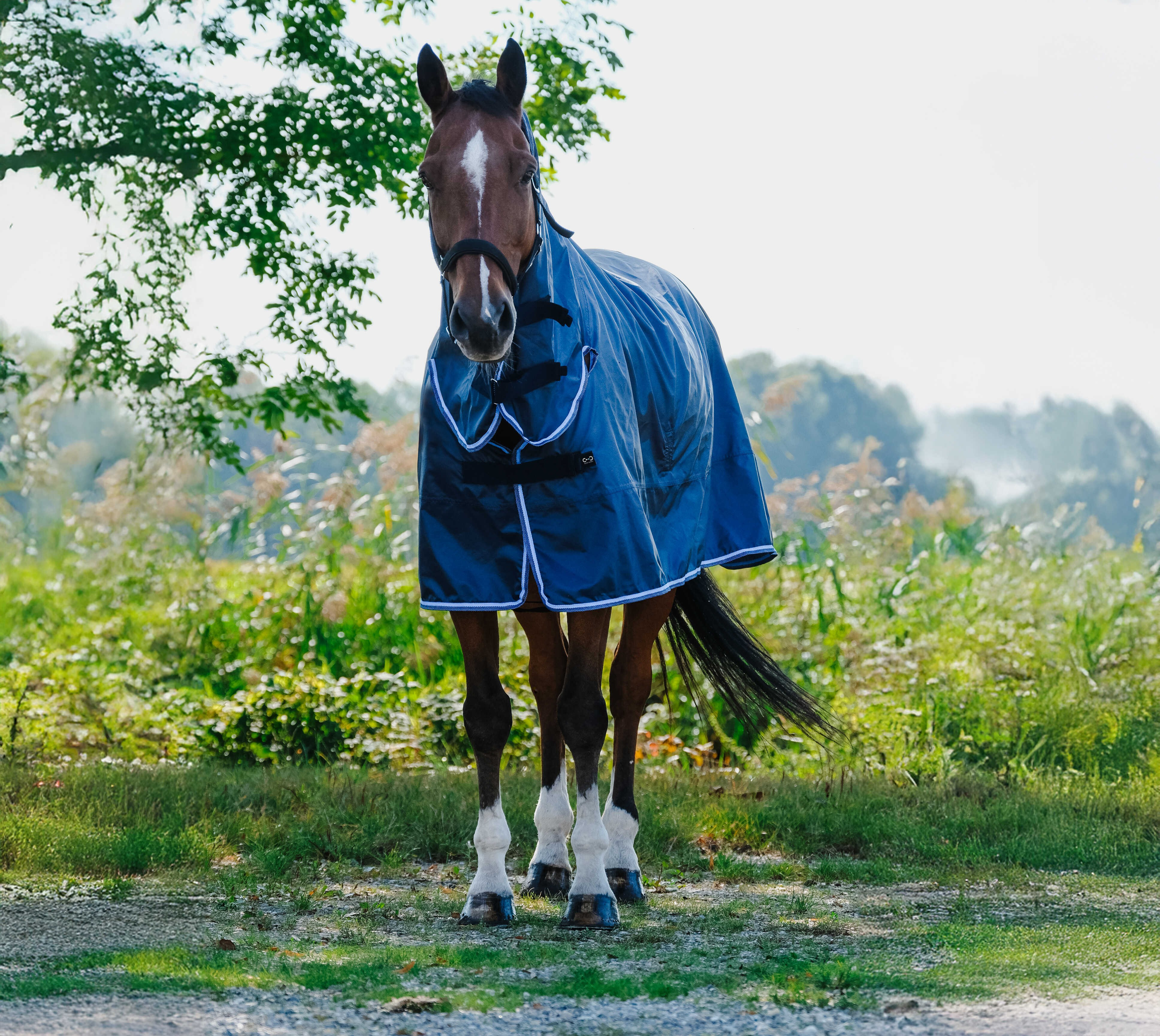 Regenjas combo Riding World Marineblauw