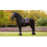 LeMieux Loire Classic Dressuur Vierkant - Juniper