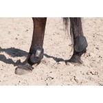 Geïntegreerde, thermo gevormde kogelbeschermers T de T