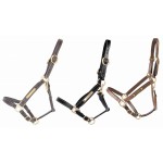 Leren halster met graveerplaat T de T