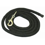 Longe fluisteraar T van T