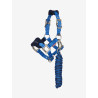 Mini LeMieux Vogue halster en halstertouw - Benetton blauw