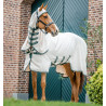 Horseware Rambo hoody pony deken 0g - Krijt / jachtgroen / zilver