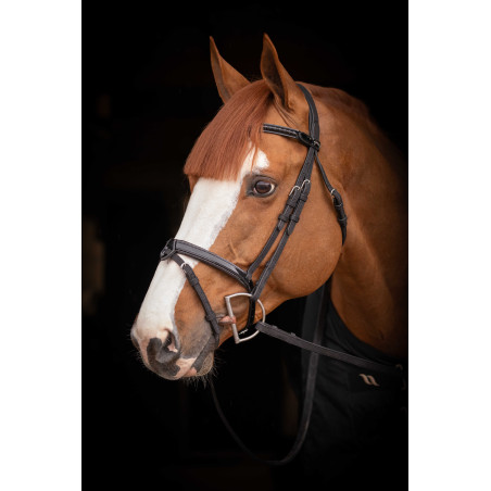 Birdon Oxford Prestatie Pénélope