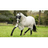 Vliegendeken LeMieux Arika Armour-Tek - Varen