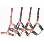 Halster van leer en band T de T